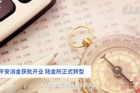 中国财富报道｜平安消金获批开业 陆金所正式转型视频封面