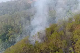 烧了100余亩！送葬途中放鞭炮引发山火 云南一男子被抓获图片