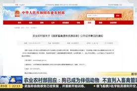 农业农村部回应：狗已成为伴侣动物  不宜列入畜禽管理视频封面