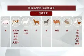 可食动物“白名单”出炉 以后狗肉还能吃吗？图片