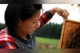 从自卑到自信，小小蜜蜂改变了她图片