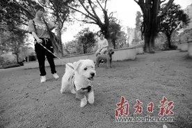 有人爱吃有人爱养 考验立法“大智慧”图片