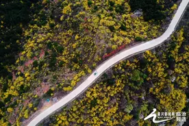 临汾：安泽黄花岭——正是山花烂漫时图片