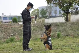 忠诚无言 一场特别的荣退仪式图片