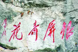 合肥古树名木：讲述年轮里的光阴故事图片
