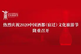 以花为媒、以节会友，2020沭阳首届油菜花海旅游节开幕图片