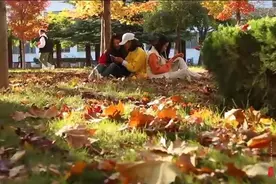 果然视频｜山东经贸职业学院：在最好的时光遇见最美的自己视频封面