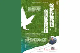 “汇泉讲堂”开讲啦！中国动物小说大王沈石溪下周开讲野生动物图片