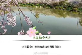 武汉醒来甚是爱你图片
