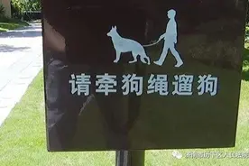 七旬老人在小区练太极时，被宠物犬惊吓摔倒，致十级伤残，法院：狗主人全责图片