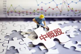 水皮：中概股，谁的牺牲品？图片