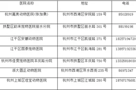 动物发情期来了 如果你捡到了流浪猫 来这些地方绝育图片
