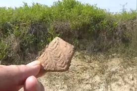 常州一村民随手捡的石头竟是新石器时代石器，网友：若是我就打水漂了图片