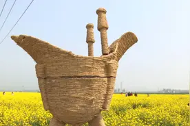 不用去婺源 章丘有一片绝美油菜花海等你来欣赏图片