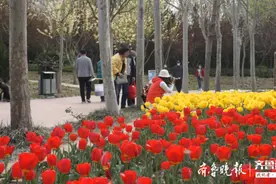 德州人，这份保姆级周末踏春攻略请查收图片