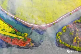 约起来~沭阳首届油菜花海旅游节明天开幕啦！图片