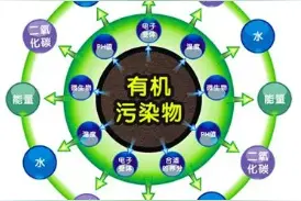 环境污染物的来源和性质图片