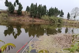 「春季开钓」影响鱼开口吃饵的几个因素，注意避开图片
