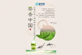 茶香中国，让我们来一场别样的采茶之旅吧图片