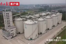 探访中原粮仓之一：坐着电梯上“粮垛”图片