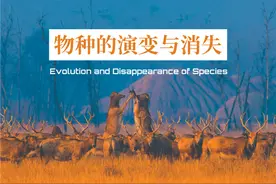 物种的演变与消失图片