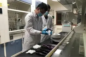 茄子泡水掉色是加了色素？谜团破解啦图片