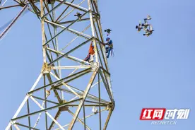 他们工作的样子好飒！实拍望城电网工人百米高空作业图片
