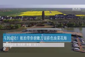 马到成功！航拍带你俯瞰万亩彩色油菜花海视频封面