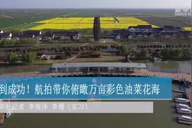 马到成功！航拍带你俯瞰万亩彩色油菜花海视频封面