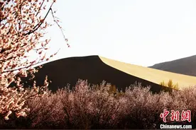 甘肃敦煌升级乡村文化品牌游 引客置身享特色“乡味”图片