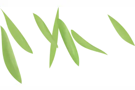 盛夏未央｜游走仙境北极岛图片