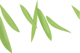 盛夏未央｜游走仙境北极岛图片