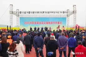 2020沭阳首届油菜花海旅游节今日开幕！美丽花乡等您来~图片