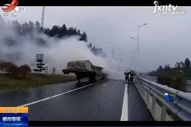 莆炎高速抚州广昌段：大货车踩着“风火轮” 冲进服务区视频封面