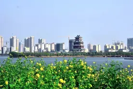 谋大局、不折腾，规划引领下的城市建设——幸福成武的“奋进密码”图片