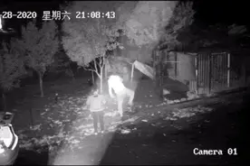 竟有人开着宝马偷鸡？视频录下全过程……图片