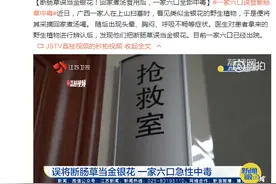 断肠草误当金银花！回家煮汤食用后，一家六口全部中毒图片