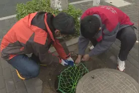 淄博市淄川区：关于井盖，你都了解多少？图片