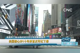 美国核心CPI十年来首次环比下滑视频封面