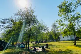 阳光尚好 风继续吹 4月12日，蓝色预警的7级大风有多大图片