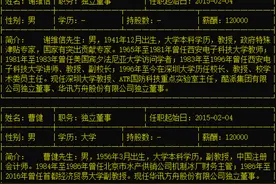 华讯方舟三独董集体辞职：公司“神秘难懂”，问题一箩筐图片