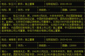 华讯方舟三独董集体辞职：公司“神秘难懂”，问题一箩筐图片