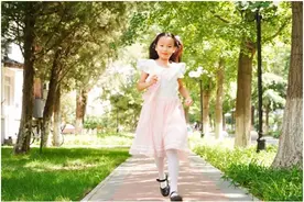 小蝴蝶的梦图片