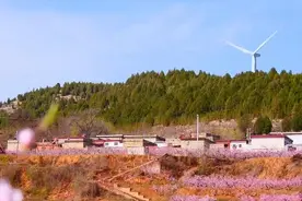 这就是山东丨挡不住的美好春色！“艳遇”泰安肥城十万亩粉面桃花视频封面