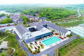 南京溧水石湫：千年银杏树下的“小康密码”图片