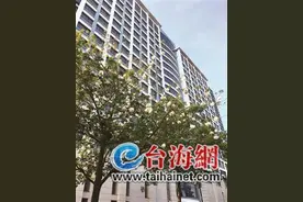 树上挂满“雪花”？其实是果实扬絮图片