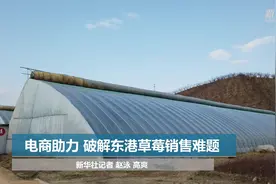 电商助力 破解东港草莓销售难题视频封面
