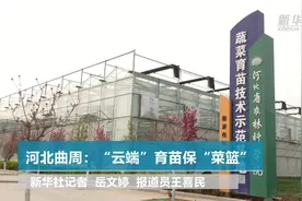 河北曲周：“云端”育苗保“菜篮”视频封面