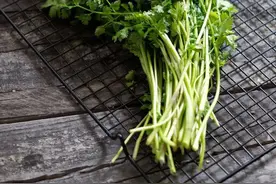 为什么有人不爱吃香菜？图片