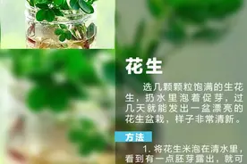 10种好看又好养的蔬菜盆栽，给点水就行图片